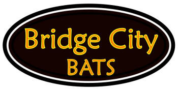 Bridge City Bats by Sandlot Stiks American grown and made 